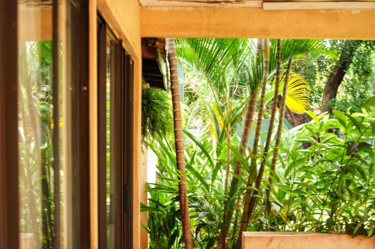 Butterfly Apartments Livingstone Exterior foto
